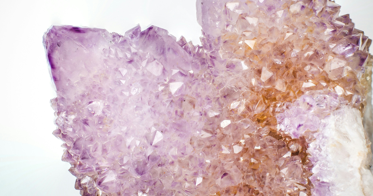 Everything Champagne Hippie