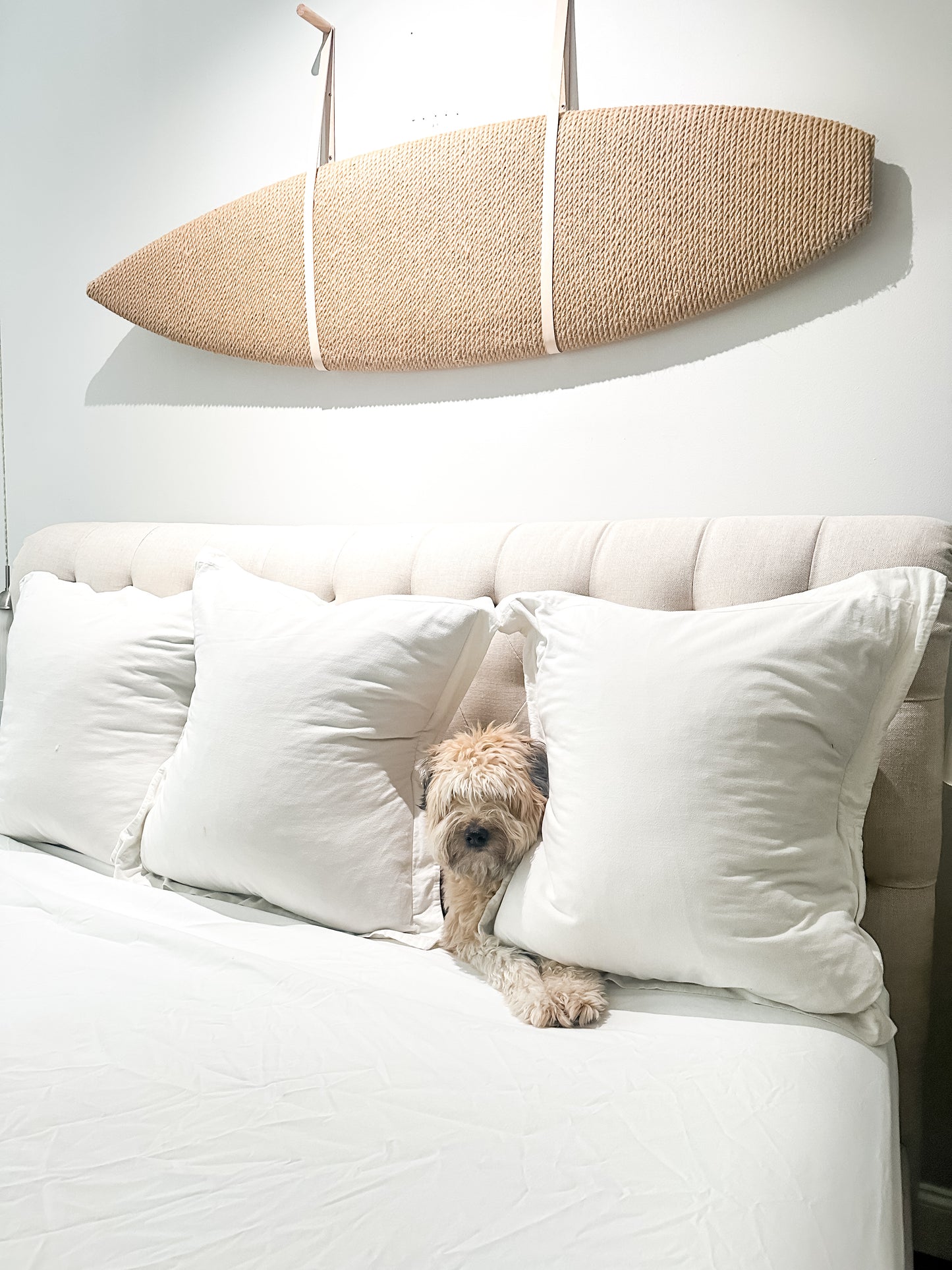 The Surfboard
