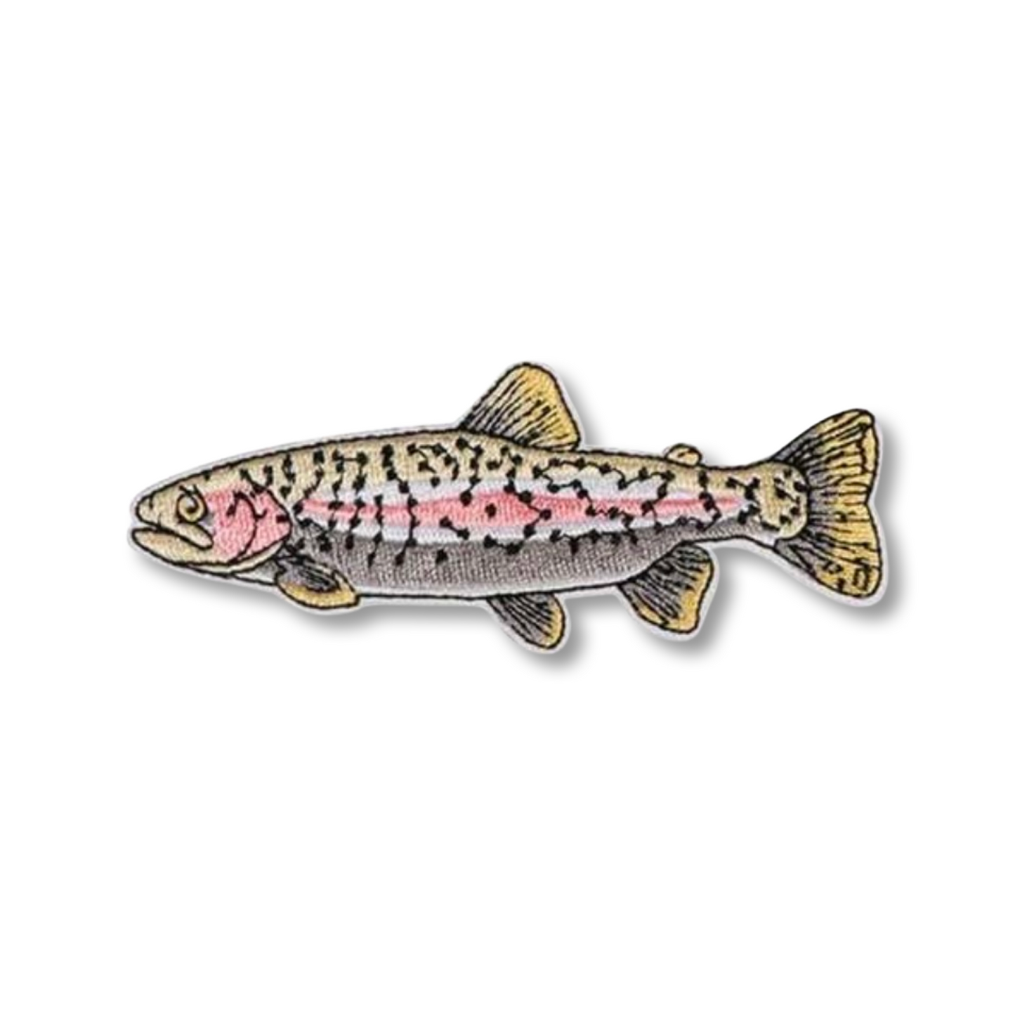 Illustration of a fish on a white background