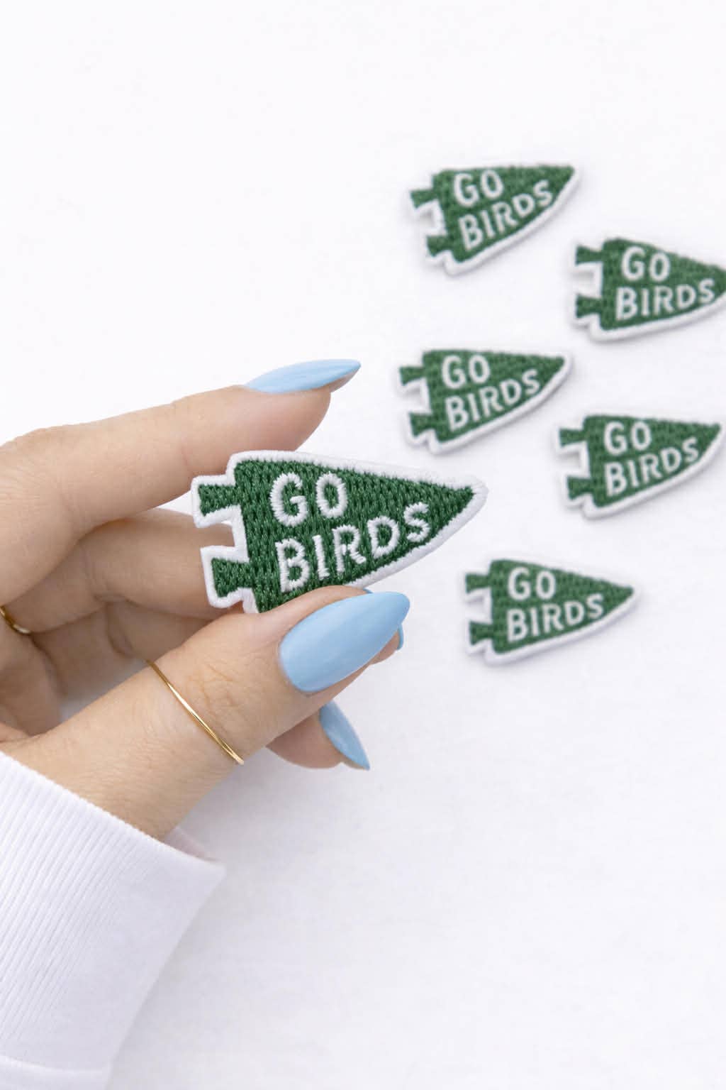 Hand holding a 'Go Birds' pennant pin with more pins scattered on a white background